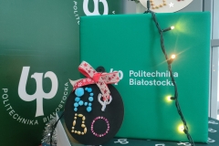 Dekorowanie-Bombek-17