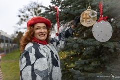 2025-12-01-Ubieranie-choinki-fot-Dariusz-Piekut-PB