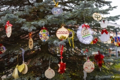 2025-12-03-ubieranie-choinki-fot-P.Jankowski-36