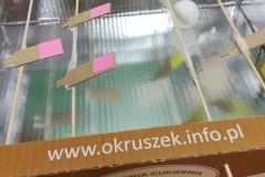 tworzenie-gier-planszowych-6