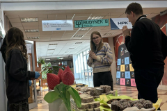 Walentynkowy-kiermasz-ciast-11