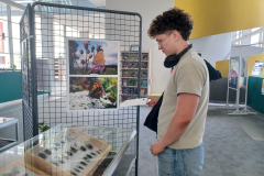 Warsztaty "Dry preparation of insects" w ramach Erasmus+