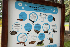 perkoz-edukacja-16