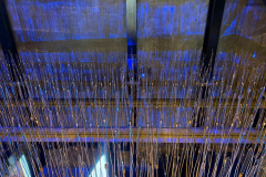 845923887_1646369513741921_8643580153427406543_n