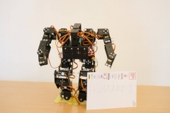 humanoid