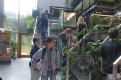 Aquariums - 1