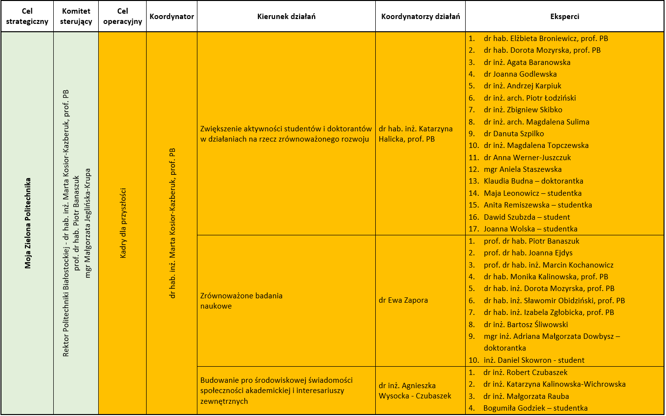 Tabela przedstawiająca strukturę Strategii Moja Zielona Politechnika
