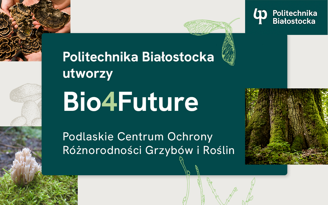 Grafika przedstawiająca inicjatywę Bio4Future. Grafika składa się z 3 zdjęc ( 2 przedstawiają grzyby, jeden przedstawia duży, omszały pień drzewa) oraz grafiki z białymi napisami.