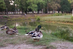 Białystok, fot. Magdalena Greś