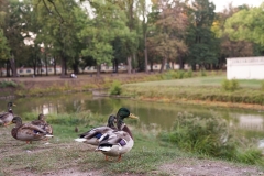 Białystok, fot. Magdalena Greś