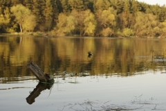 „Kąt ostry”