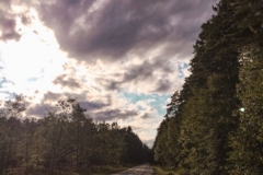 „Symetria krajobrazu ”