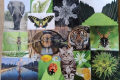 „Symetria - collage”