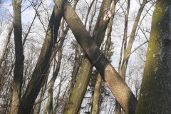 „Kąty wierzchołkowe”
