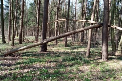  „Twierdzenie Talesa”