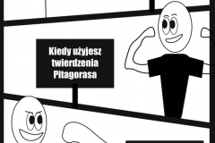 13. Wzory matematyczne- żart