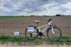 „Pole koła”