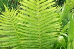 „Równowaga”
