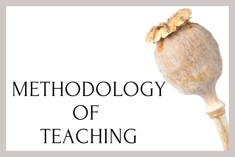 methodology of teaching