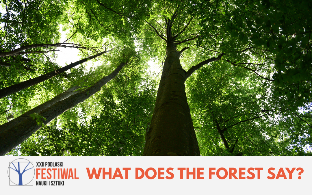 Korony wysokich drzew widziane z dołu na tle jasnego nieba. Na dole grafiki logo XXII Podlaskiego Festiwalu Nauki i Sztuki oraz napis: „What does the forest say?