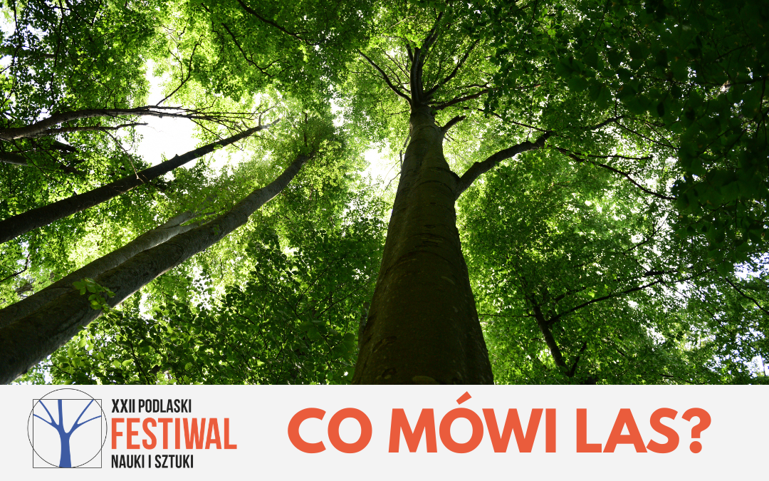 Korony wysokich drzew widziane z dołu na tle jasnego nieba. Na dole grafiki logo XXII Podlaskiego Festiwalu Nauki i Sztuki oraz napis: „Co mówi las?”.