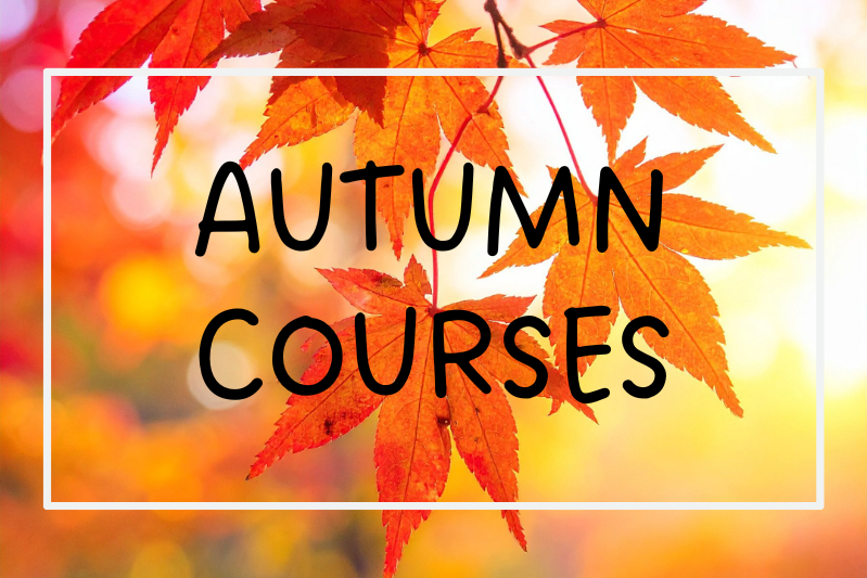 Information about autumn language courses