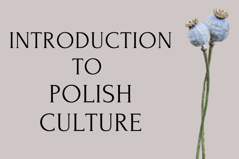 Graphic displaying the text “INTRODUCTION TO POLISH CULTURE” on a light background with two pale blue poppy seed heads on the right side
