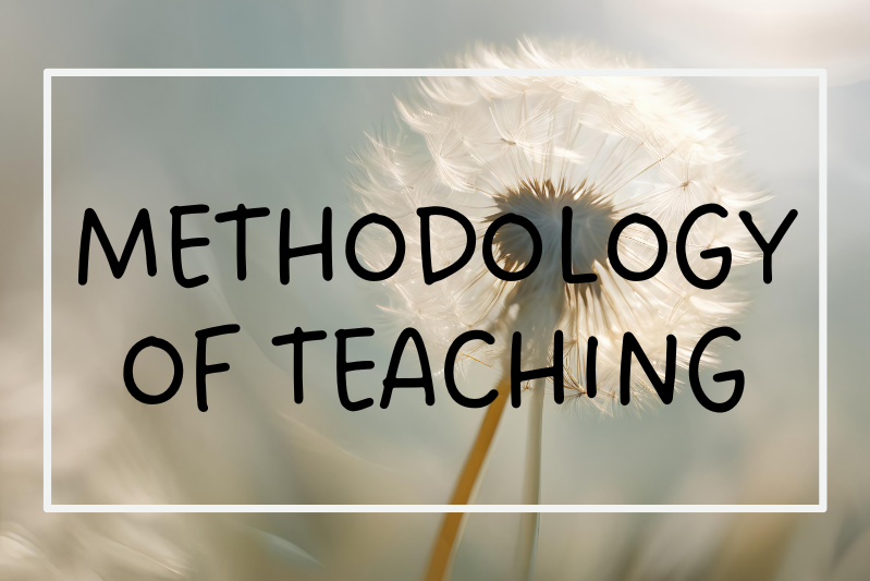 Information about the Methodology of Teaching course