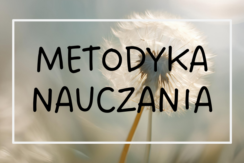 Metodyka nauczania