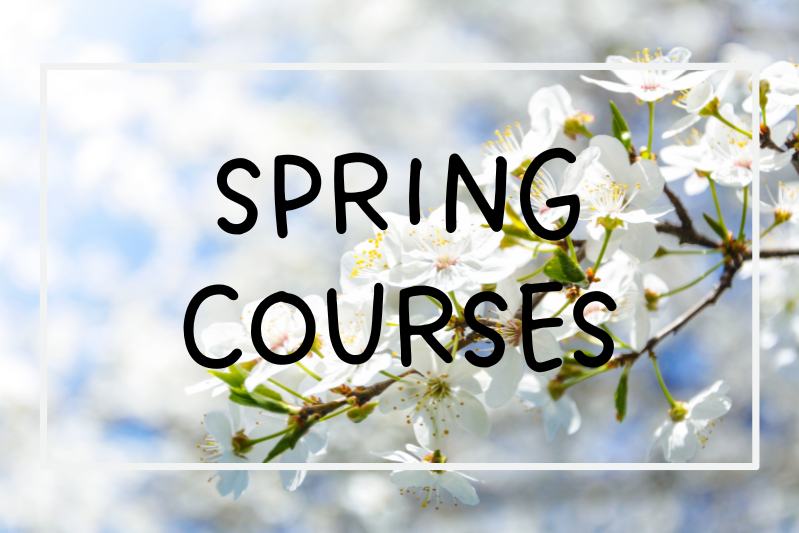 Information about spring language courses