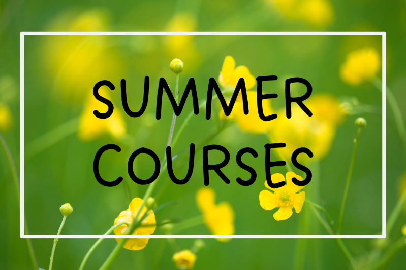 Information about summer language courses
