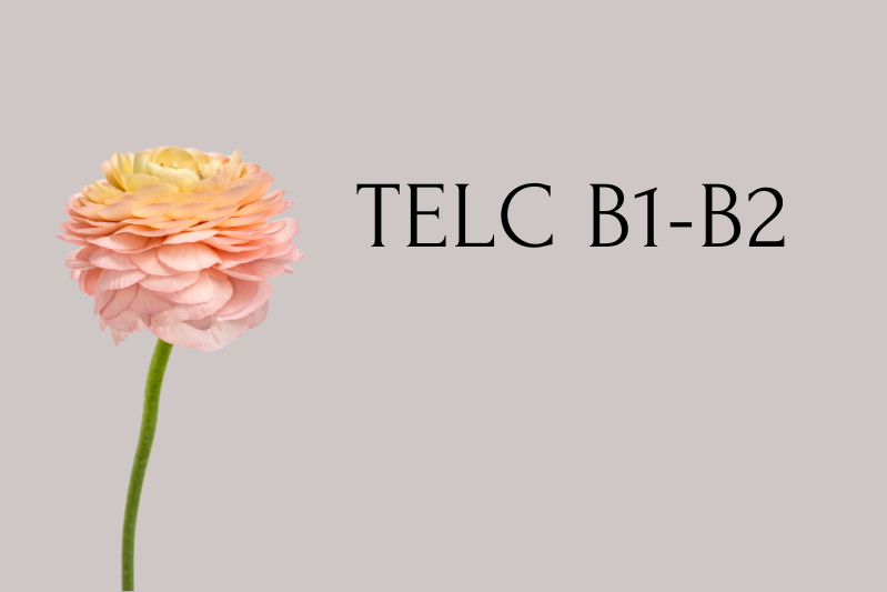 Graphic displaying the text “TELC B1-B2” on a light background with a pale pink flower on the left and the words “coming soon”