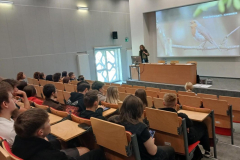Multimedia-15