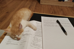A-cat-is-sitting-on-a-table-with-a-pen-and-paper