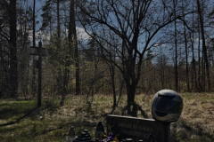 A cemetery with a sun shining through the trees