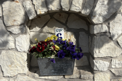 A-flower-pot-with-flowers-in-it-on-a-stone-wall
