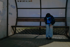 Person sits alone on a bench at a bus stop, looking at a mobile phone, illuminated by street lighting at night