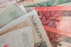 A-pile-of-polish-money