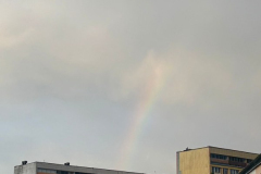 A rainbow appears over a city street