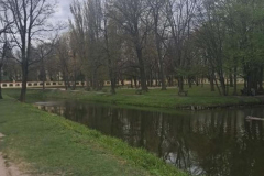 A-river-in-the-middle-of-a-park