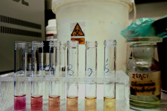 A-row-of-test-tubes