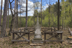 A-wooden-bench-in-the-middle-of-a-forest