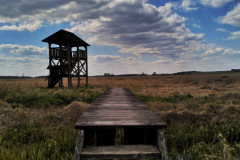 A-wooden-bench-sitting-in-a-field-with-a-gaze