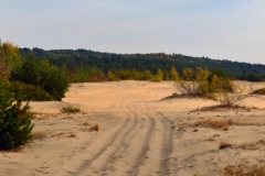 Pustynia Błędowska / Błędów Desert