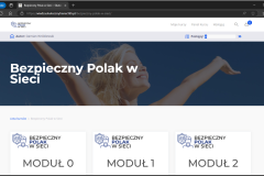 Bezpieczny Polak w sieci - widok szkolenia