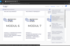 Bezpieczny Polak w sieci - widok modułów
