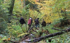Lesnicy-PB-w-Bieszczadach_23.10.2023-8