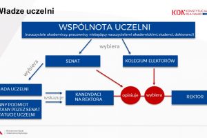 wspólnota uczelni_ schemat wg Konstytucji dla nauki