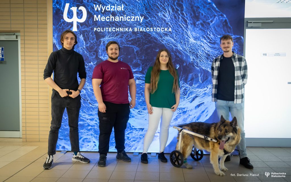 Politechnika Białostocka pomogła potrzebującemu zwierzęciu. Pies Lakuś, pomimo odciętej łapki, znowu biega