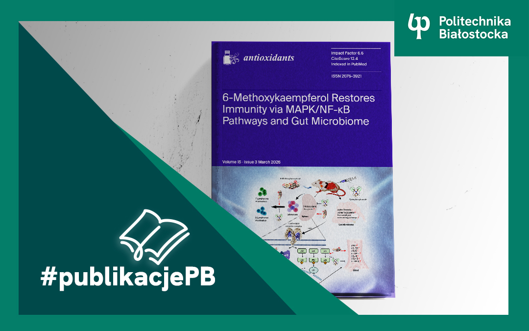 grafika z cyklu #publikacjePB